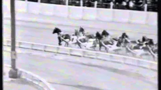 1963 New Zealand Cup - Addington, Christchurch: Cardigan Bay