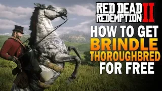 How To Get RARE Brindle Thoroughbred FREE! Fastest Horse! Red Dead Redemption 2 Best Horses [RDR2]
