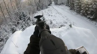 Jakt med Janne - Blandade skottsekvenser, dovhjort, vildsvin och rådjur