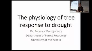 The Physiology of Tree Response to Drought