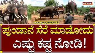 Elephant Rescue in Ramanagara : ಪುಂಡಾನೆ ಸೆರೆ ಮಾಡೋದು ಎಷ್ಟು ಕಷ್ಟ ನೋಡಿ | Power TV News