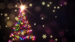 Christmas Tree Projection Loop | Xmas Lights Tree Loop