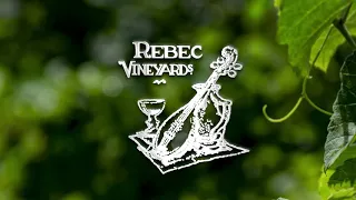 Rebec is Middle Eastern stringed instrument. Rebec Vineyards.