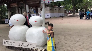 Korea Vlog Part 4 | Nami Island, Petit France + Everland, Zoo