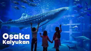 Osaka Amazing Kaiyukan Aquarium! Japan Walking Tour