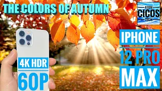 IPHONE 12 PRO MAX | 4K 60fps - HDR Dolby Vision | The colors of Autumn