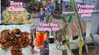 "Transforming my Garden Oasis | Dragon Fruit Repotting & Lunchtime Bora Delight!"-11 February 2024
