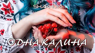 SHAKHOV - Одна калина [Official Mood Video]