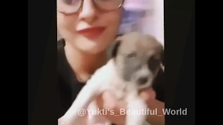 Yukti playing with Jalebi Joshi (Gulki's Pet Dog) | Yukti's Beautiful World