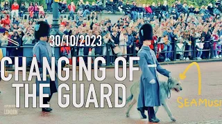 Changing of the guard: Changing of the guard Buckingham palace, changing the guard, London, 2023, 4k
