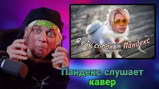 ПАНДЕКС СЛУШАЕТ КАВЕР (Я е*бу собак) | КИНУЛ ЖАЛОБУ!