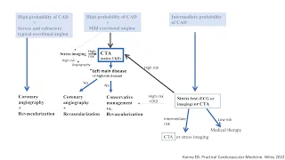 Stable CAD: Revascularization concepts + Diagnostic strategy- Elias Hanna