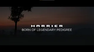 All New Harrier | Born Of Legendary Land Rover Pedigree