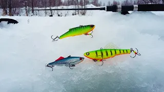 Игра раттлинов на Судака и Щуку. Рыбалка зимой со льда в 2022