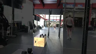 3x8 reverse lunge step ups #15 DB