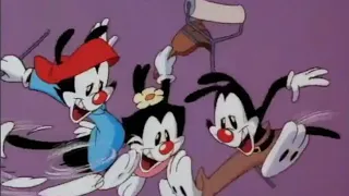 Animaniacs - If You Need You're Ceiling Painted