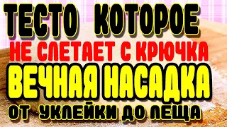 КАК СДЕЛАТЬ ТЕСТО ДЛЯ РЫБАЛКИ КОТОРОЕ НЕ СЛЕТАЕТ С КРЮЧКА ?! ВЕЧНАЯ НАСАДКАДЛЯ ЛЕЩА ,КАРАСЯ,КАРПА