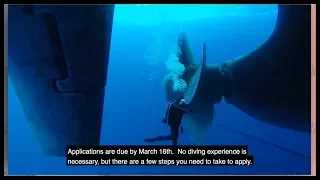 The Coast Guard ships make improvements to the propeller in the middle of the sea