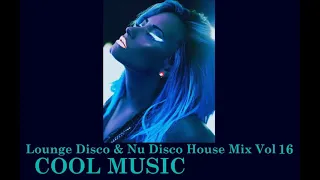 Lounge Disco & Nu Disco House Mix Vol  16