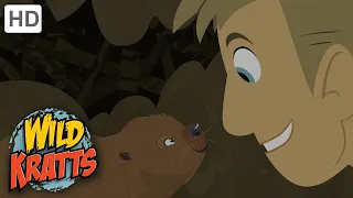 Wild Kratts | Build It Beaver | Full Episode | Season 1