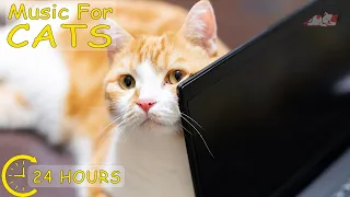 Cats music to calm a very active Kittens! Cure Separation Anxiety with Cat Music, ill & Stressed Cat