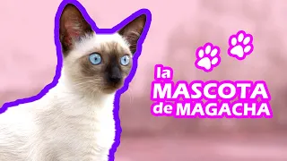 La mascota de Magacha