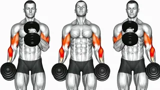 Biceps Workout Only Dumbbells - 8 Best Exercise - Grow Your Arms In 20 Days