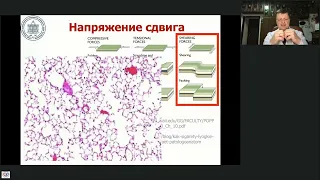 Параметры дыхательного цикла Лебединский К.М.