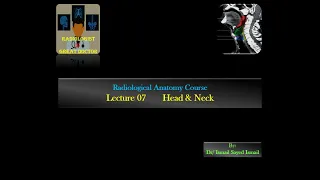 Radiological Anatomy Course -Lecture 07 -Head and Neck Part(1)