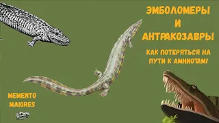 Эмболомеры и антракозавры. Как заблудиться по пути к амниотам!