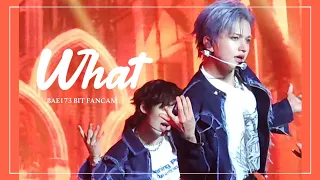 [Fancam] 240525 BAE173 2nd Fan Concert 'POLARIS' - WHAT 빛 직캠 (BIT Focus)