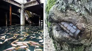 A Prova de Que a Natureza Domina os Lugares Abandonados