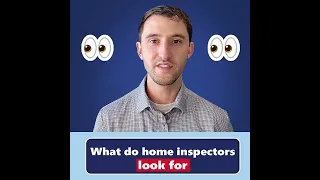 What do Home Inspectors look for