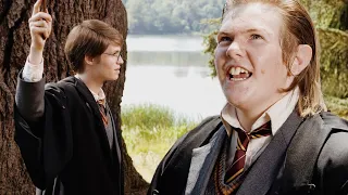 POURQUOI JAMES ET LILY ONT-ILS VRAIMENT CHOISI PETER PETTIGREW EN GARDIEN DU SECRET ?