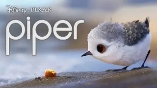 Piper | Disnep - PIXAR | Oscar Winning Animated Short Film | Learn from Little Bird | Animation