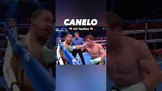 How Canelo Ko'd Kirkland | Boxing Breakdown Tactics Technique