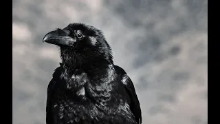 The Raven - Edgar Allan Poe/Эдгар Аллан По - Ворон