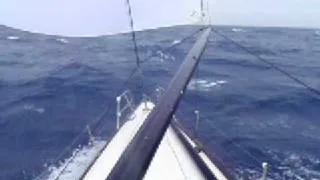 Ragtime Sydney Hobart Staying Alive in the Waves