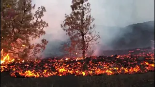 Impresionantes Imágenes registradas a las 17.30 hora canaria de la nueva colada de lava