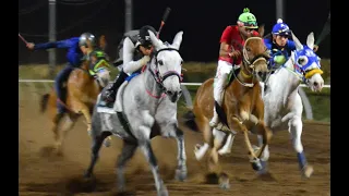 Fresno Hipódromo -GRAN FINAL MATURITY MULAR - 12 DE MAYO DE 2024