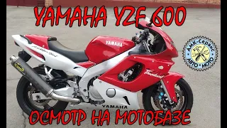 Oсмотр перед покупкой  Yamaha YZF600 Thundercat на мотобазе