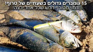 דייג גומברים מטורף בזרזור! 15 גומברים בשעתיים ודמוי חדש חובה לכל אחד!אקשן לא נגמר