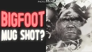 REAL Sasquatch or big HOAX? ANSWER in the video!