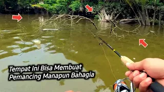 Rombongan Ikan Kakap & GT Berhasil Naik Dengan Cepat & Mudah di Satu Spot Mancing Muara Sungai Ini