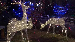 Christmas lights in Harrison Hot Springs 2018