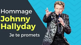 Johnny Hallyday - Je te promets cover par moustick 😁