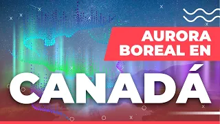 Aurora Boreal en Canadá 🇨🇦 | Qué es, cómo se forma y dónde verla 🎇