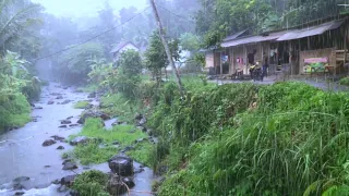 HEAVY RAIN IN BEAUTIFUL MOUNTAIN VILLAGE | NATURAL AND REFRESHING | RAIN SOUNDS FOR SLEEPING