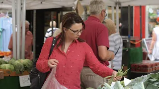 Mold Market