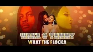 Waka & Tammy Meet the Flacks S1 E1 Review #Waka&Tammy